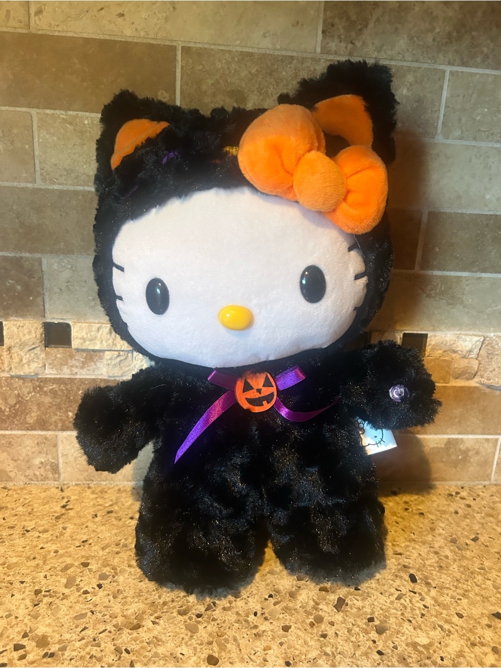 Hello Kitty Side Stepper Sanrio
2024 Plush Black Cat Halloween